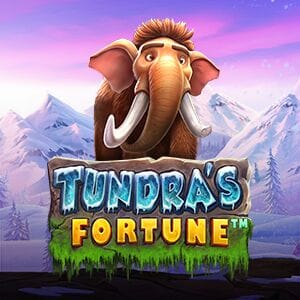 Tundra's Fortune game icon